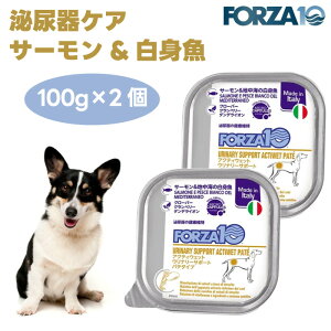 Forza10 ANeBEFbg Ei[T|[g APA T[&nC̔g pe^Cv 100gx2  hbOt[h a ×{H AH tHc@10