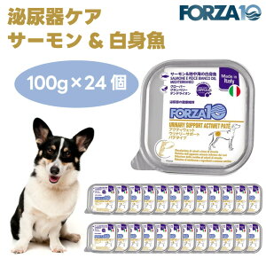 Forza10 ANeBEFbg Ei[T|[g APA T[&nC̔g pe^Cv 100gx24  hbOt[h a ×{H AH tHc@10