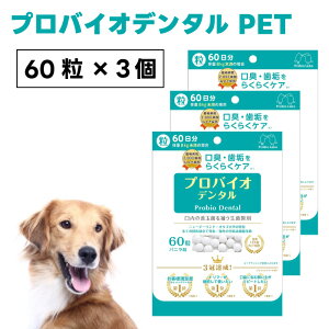 v~A[h voCIf^ ybg 60x3  L oj ܃^Cv oPA L C voCIeBNX