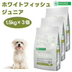 lC`[YveNV zCghbO OCt[ zCgtBbV WjA 1.5kgx3  e ܏Ă hbOt[h