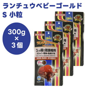 L[ hikari Ђ `Exr[S[h S   300gx3 񂿂イ I_  a t[h