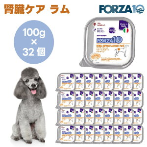 Forza10 ANeBEFbg i[T|[g tPA  pe^Cv 100gx32  hbOt[h a ×{H t t tHc@10