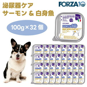 Forza10 ANeBEFbg Ei[T|[g APA T[&nC̔g pe^Cv 100gx32  hbOt[h a ×{H AH tHc@10