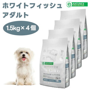 lC`[YveNV zCghbO OCt[ zCgtBbV A_g 1.5kgx4   ܏Ă hbOt[h