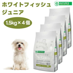 lC`[YveNV zCghbO OCt[ zCgtBbV WjA 1.5kgx4  e ܏Ă hbOt[h