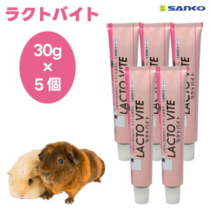 SANKO TR[ veC NgoCg 50gx5 100g  t[h a   tFbg nlY~ tNK nX^[ V}X_ h{⋋ h{⏕ OW