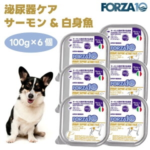 Forza10 ANeBEFbg Ei[T|[g APA T[&nC̔g pe^Cv 100gx6  hbOt[h a ×{H AH tHc@10