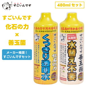 H| RguL RguLH| ł ΂̗ Pʋ 480ml Zbg  グ  ANAE  ߑ | s _ } t    L 