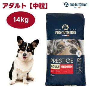 �v���X�e�B�[�W ���p �A�_���g ���� 14kg �h�b�O�t�[�h �� ���� �a PRESTIGE �t�����X�Y PRO-nutrition