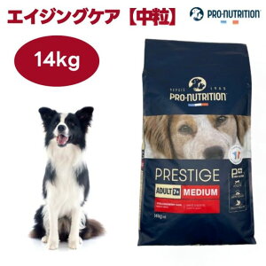 �v���X�e�B�[�W ���p �V�j�A �G�C�W���O�P�A ���� 14kg �h�b�O�t�[�h �� �a PRESTIGE �t�����X�Y PRO-nutrition