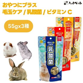 ハイペット おやつにプラス 毛玉ケア 乳酸菌ビタミンC 55g 3種セット うさぎ モルモット チンチラ 小動物 フード おやつ