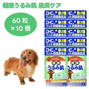 DHC ���p ���N����ݔ� 60��x10�� �� �T�v�� �T�v�������g ���Y ���� �r�^�~��C