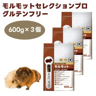 イースター モルモットセレクションプロ グルテンフリー 600g (200gx3袋) x3個 モルモット 餌 フード 低…