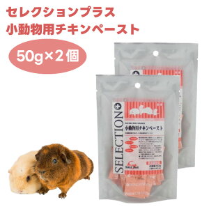 C[X^[ ZNVvX p`Ly[Xg 50g x2  a H GH tFbg nX^[ nlY~ tNK