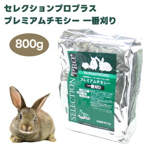 C[X^[@ZNVvvX@v~A`V[@Ԋ 800g  bg nX^[ a kĎYō `V[ Tubhp @ێ Ⴝς