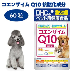 DHC �����p �R�G���U�C��Q10 �Ҍ��^ 60�� �� �T�v�� �T�v�������g ���Y �C�~�_�]�[���y�v�`�h �^�E����