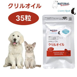 i`n[xXg NIC 35 Jg[[h  L Tvg ֐߃PA IK3b_ AX^LT`