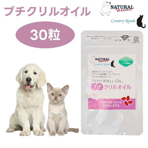 i`n[xXg v`NIC 30  Jg[[h  L Tvg ֐߃PA IK3b_ AX^LT`