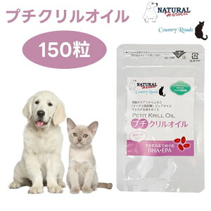 i`n[xXg v`NIC 150  Jg[[h  L Tvg ֐߃PA IK3b_ AX^LT`