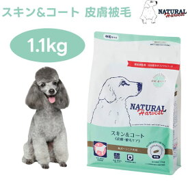 ナチュラルハーベスト スキン＆コート 皮膚 被毛ケア 1.1kg スキン 毛艶 ドックフード 犬 餌 Natural Harvest