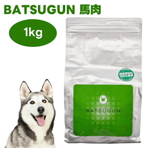 �`���y�b�g BATSUGUN �n�� 1kg �h�b�O�t�[�h �� �a �o�c�O�� ���Y �z�[�X ���Y�� Chiyo-pet