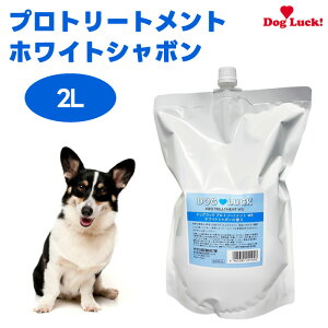 hbObN vg[ggWS zCgV{̍ 2L Ɩp