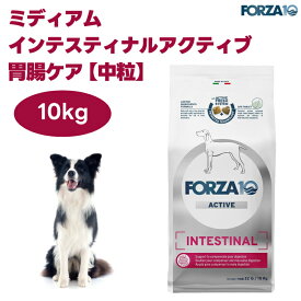 FORZA10 インテスティナルアクティブ ミディアム 中粒 胃腸ケア 10kg ドッグフード 犬 餌 療養食 フォルツァ10 大袋 お徳用
