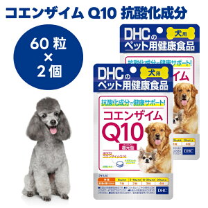 DHC �����p �R�G���U�C��Q10 �Ҍ��^ 60��x2�� �� �T�v�� �T�v�������g ���Y �C�~�_�]�[���y�v�`�h �^�E����