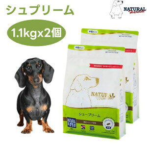 �i�`�������n�[�x�X�g �V���[�v���[�� 1.1kgx2�� ���� �h�b�O�t�[�h �� �a �^�[�L�[ ���C���h�{�A �t�B�b�V�� Natural Harvest