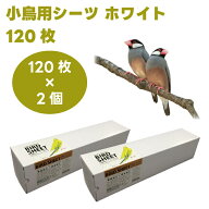 ハッピーホリデイ 小鳥用シーツ 120枚x2個 ホワイト インコ 文鳥 小鳥 掃除用シーツ P2&アソシエイツ