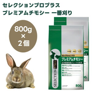 �C�[�X�^�[�@�Z���N�V�����v���v���X�@�v���~�A���`���V�[�@��Ԋ��� 800g x2������ �������b�g �n���X�^�[ �a �k�ĎY�ō��� �`���V�[ �T���u���b�h�p ���@�ێ� �Ⴝ��ς���