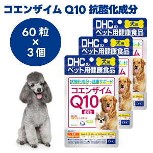 DHC �����p �R�G���U�C��Q10 �Ҍ��^ 60��x3�� �� �T�v�� �T�v�������g ���Y �C�~�_�]�[���y�v�`�h �^�E����