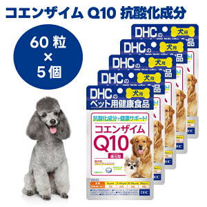 DHC �����p �R�G���U�C��Q10 �Ҍ��^ 60��x5�� �� �T�v�� �T�v�������g ���Y �C�~�_�]�[���y�v�`�h �^�E����