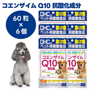 DHC �����p �R�G���U�C��Q10 �Ҍ��^ 60��x6�� �� �T�v�� �T�v�������g ���Y �C�~�_�]�[���y�v�`�h �^�E����