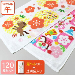 ̂t x^I N^I (Ԃiq^) 2026N ߔN n ei AE120Zbg