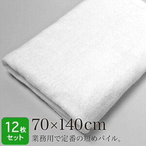 oX^I Ɩp 唻 70×140cm 12Zbg  zCg 1000 唻oX^I 唻^I vdl @ ڍ@  }bT[W GXeT ze  { a@  v ϋv