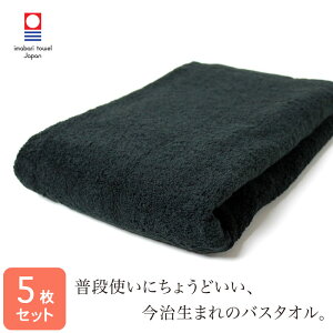 ^I oX^I 60×120cm  5Zbg  850 { Y imabari ig fC[ Ɩp ubN n