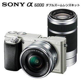 楽天市場 Sony A6000 カバーの通販