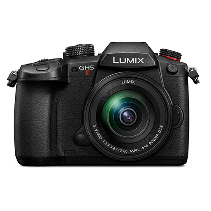 楽天市場】パナソニック ミラーレス一眼カメラ ルミックス LUMIX G 