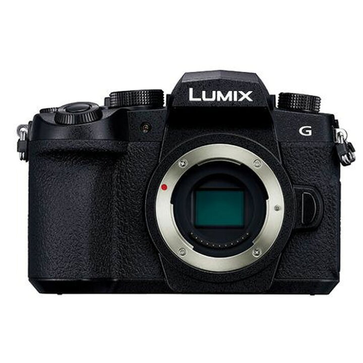 楽天市場】パナソニック ミラーレス一眼カメラ ルミックス LUMIX G99 