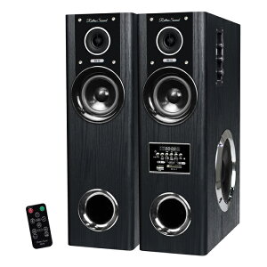 y[zN}ULGC ^[^ AvXs[J[ 80W _Ci~bNTEhEXs[J[ Retro Sound DS-12 ؖڒ ubN ^[Xs[J[ PCXs[J[ g[{[C^ tA^y