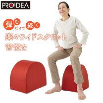 楽天市場】スクワット 椅子（ダイエット・健康）の通販