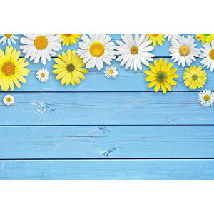 Qinunipoto ʐ^ Be wiz 2.1m x 1.5m Be Bep wi z Bepwi {[h ؂̔ e l̎ʐ^ ̔wi Bep Bewi ʐ^wiz ʐ^Bep  Ƃbwi r