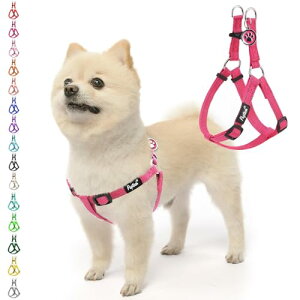PUPTECK  n[lX qD   pn[lX AɗDn[lX ybgpi hbO ́[˂ ߉\ EȒP y ʋC K SȂ ϋv h~ S Ԕ ID^