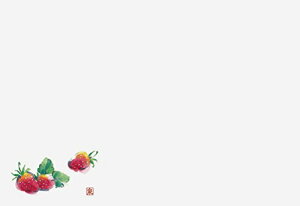 򎽊 ㎿}bg 3e[u}bg ʕV[Y  100 B-19-64