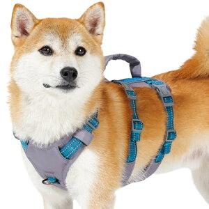 Huntboo  n[lX ^ ^ pn[lX h~ Ȃ TCY\ Ԕ Pݖh~ s⏕ P U ^ Č (e[u[,S)