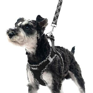 PUPTECK  n[lX [h Zbg Ȃ  \ y bV ʋC \tg K EȒP ˍޕt h~ AɗD ϋv U AEghA S V  