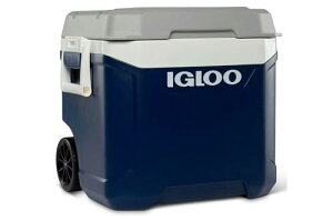 IGLOO CO[ }bNXR[h N[[{bNX 58Li62QTjőۗ5