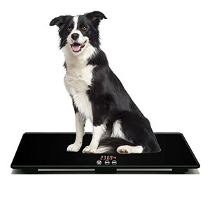 ^p̑̏dv, ybg ̏dv, ybgXP[, ̏d  L, v100kg x10g (65 x 45 cm)