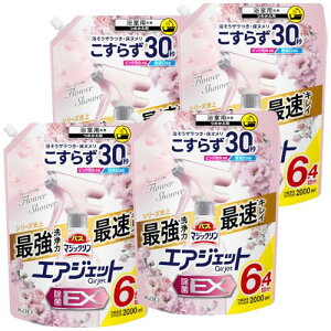 }WbN yP[X̔zoX GAWFbg EX UEk炸30bŃLb! t[V[̍ ߂p 2000ml×4 e